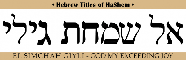 Hebrew Titles Archives  Discovering The Jewish Jesus