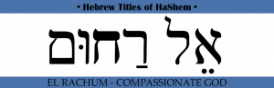 Hebrew Titles Archives - Discovering The Jewish Jesus