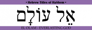 Hebrew Titles Archives - Discovering The Jewish Jesus