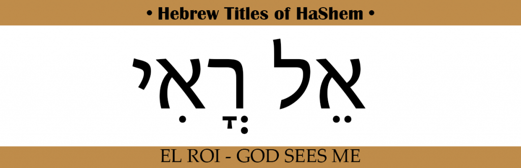 Hebrew Titles Archives - Discovering The Jewish Jesus